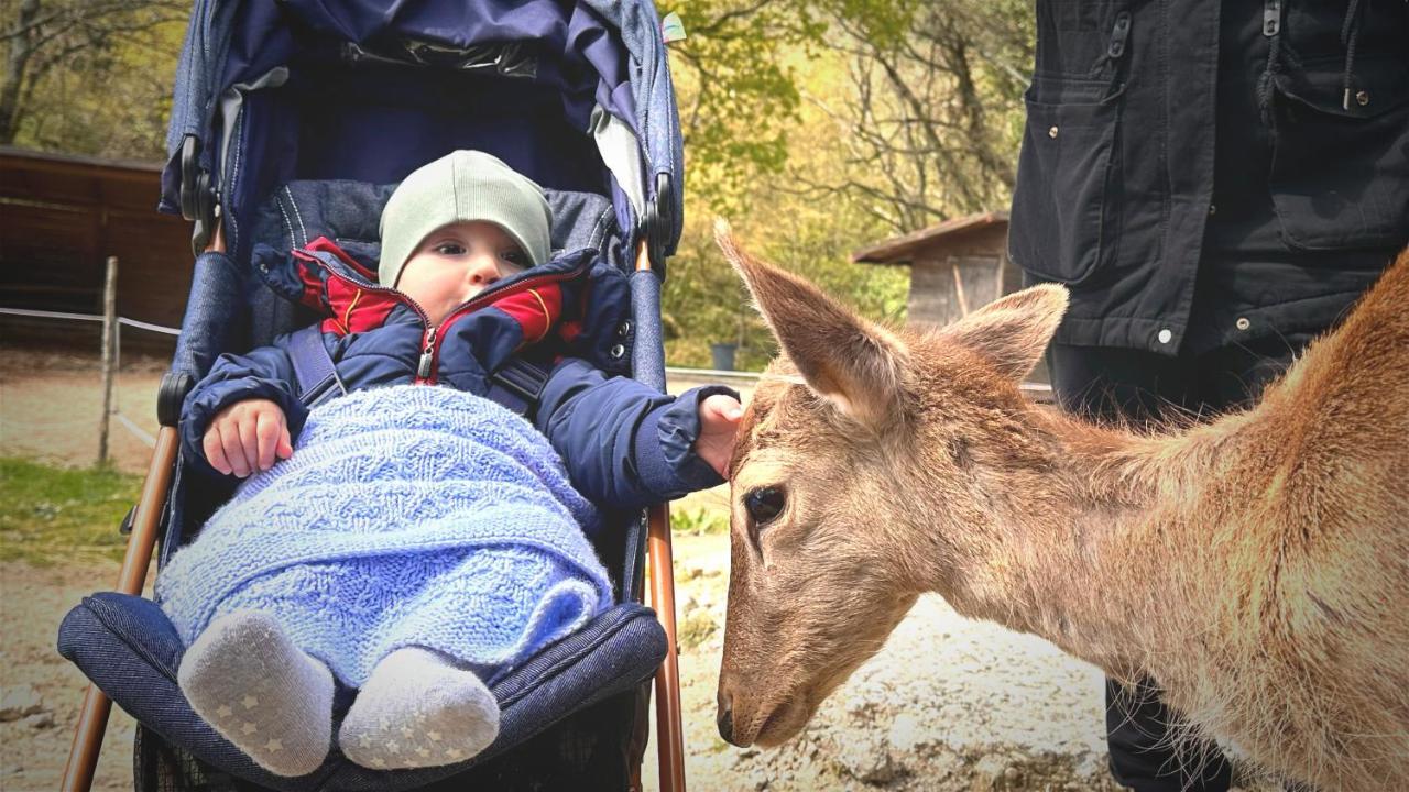 Willa Night In The Wood Sorbo Campagnano Di Roma Zewnętrze zdjęcie